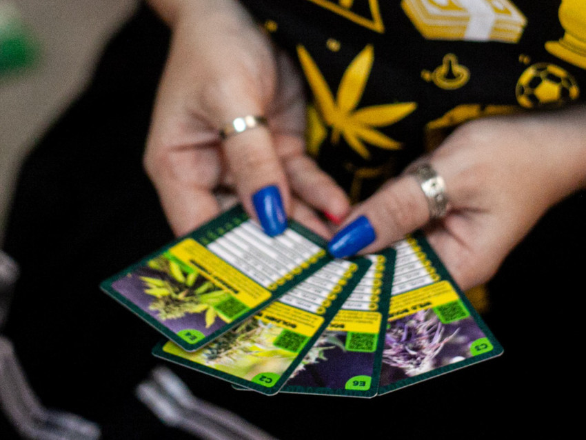 Jogo de Cartas Hemp Trumpho - Imagem 3