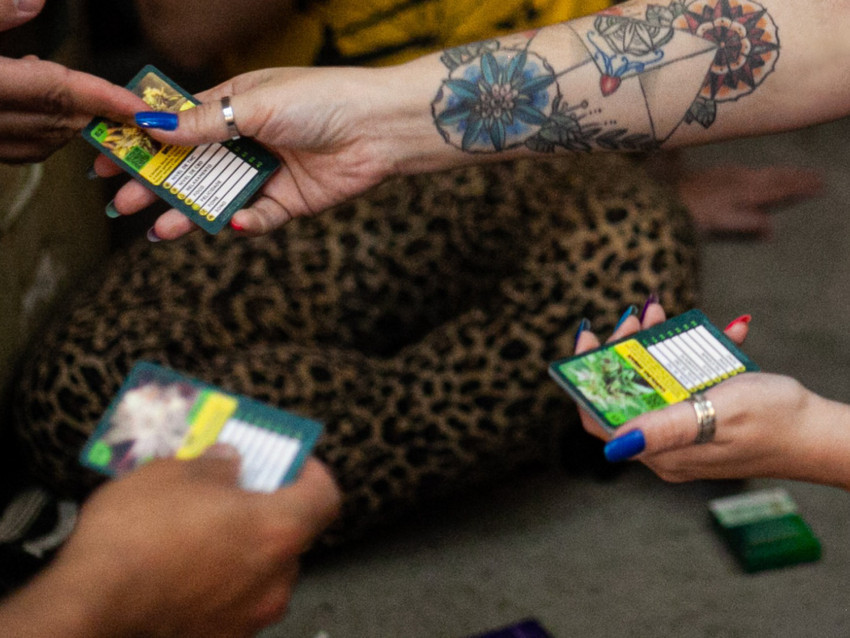 Jogo de Cartas Hemp Trumpho - Imagem 6